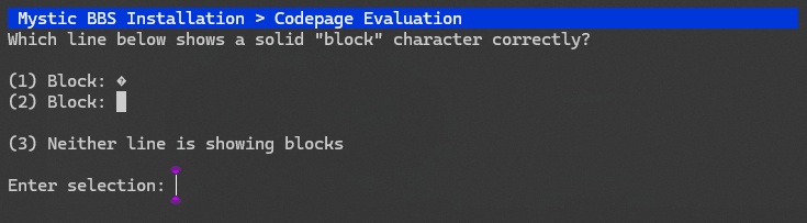Code page check Installation 1