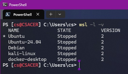 WSL-l-v