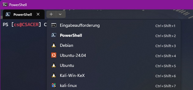 Windows-Terminal